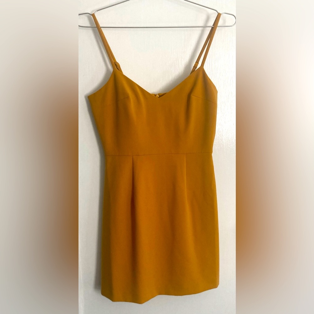 French Connection fall color mini dress